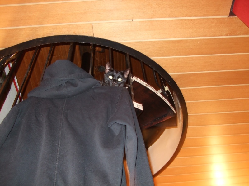 Ostern 2007 Orleshausen 103 